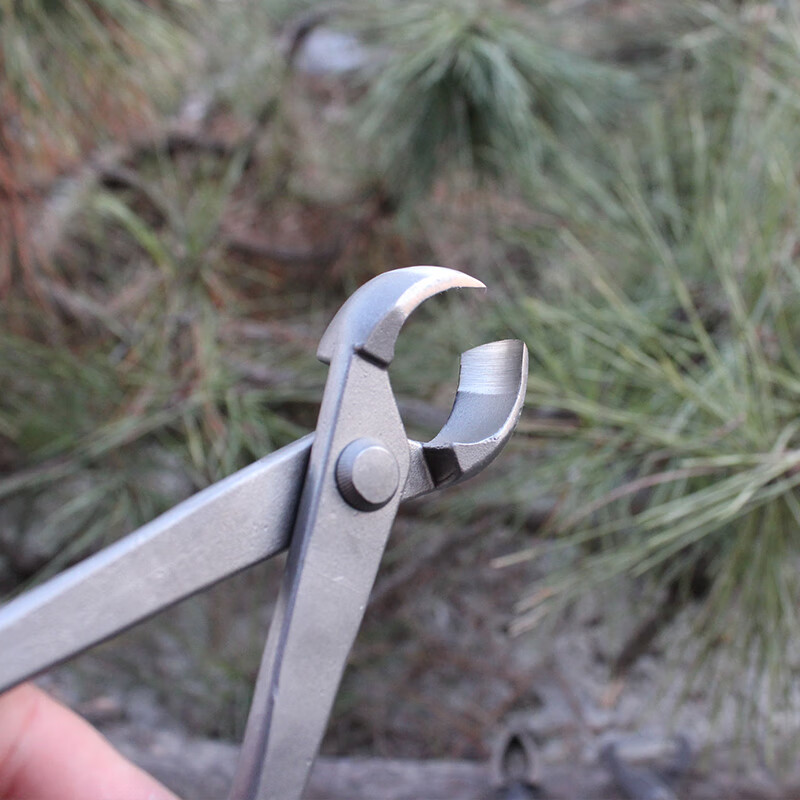 流彗球节剪景盆修剪工具盆景球形树瘤球节钳盆景树枝钳平口胡桃钳