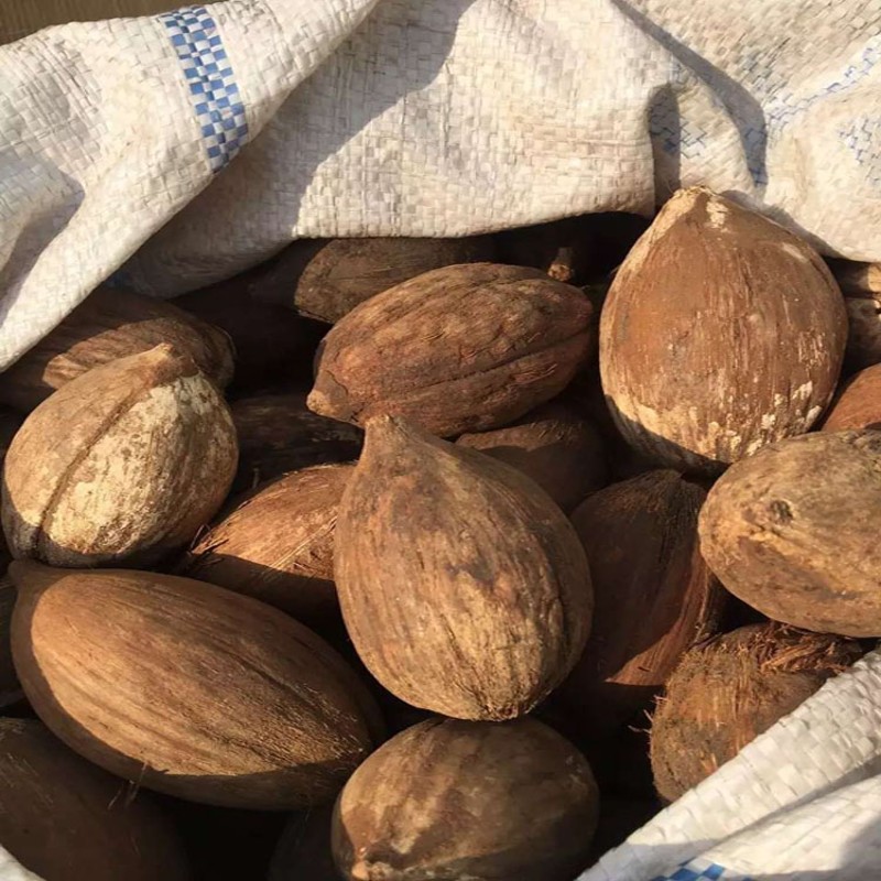 顶盈 原料 coke菩提子海椰子佛珠 手链念原材料 库克原料原果一斤