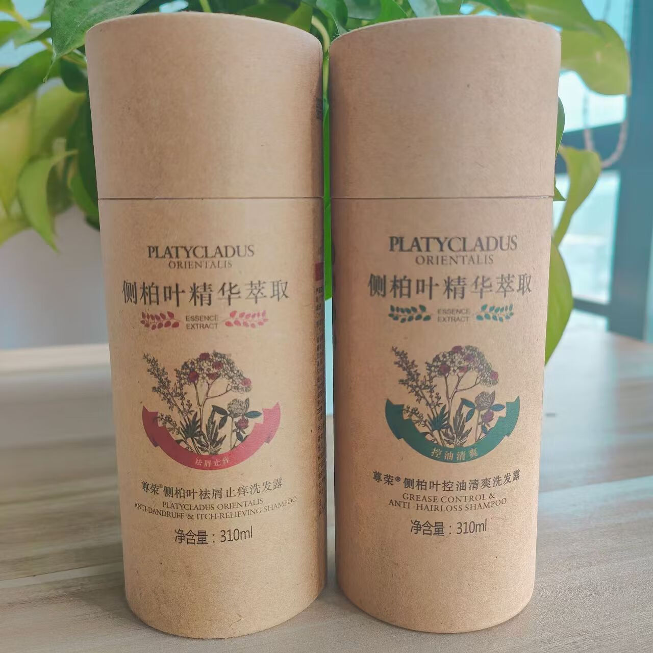 艾尚彩(aishangcai)尊荣侧柏叶洗发水 控油清爽去屑止痒无硅油蓬松男