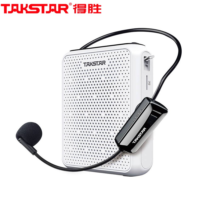 得胜（TAKSTAR）E300W 无线小蜜蜂扩音器教师专用大功率喇叭导游蓝牙小音箱FM收音机