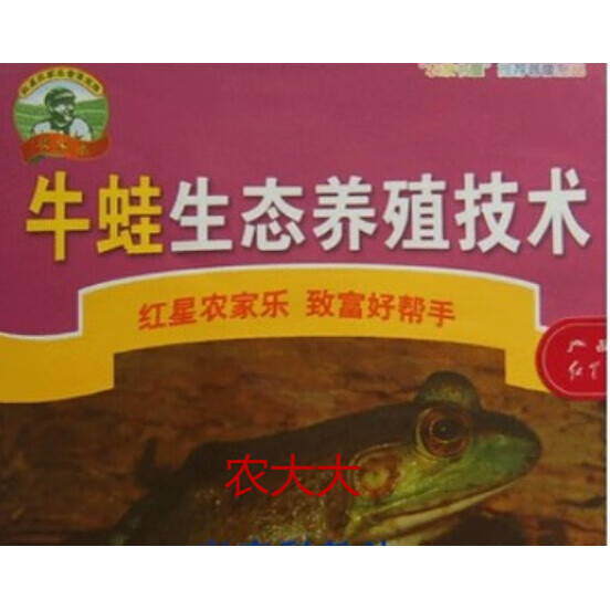 牛蛙养殖技术资料饲料配方美国牛蛙饲养管理疾病防治u优盘5书籍