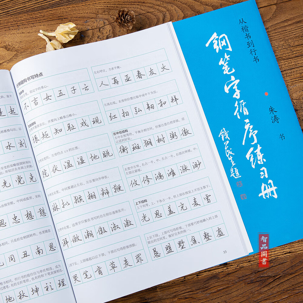 钢笔字循序练习册 从楷书到行书 简体字硬笔钢笔书法字帖 汉字书写大典 朱涛书 江苏美术出版社