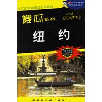 纽约 傻瓜系列