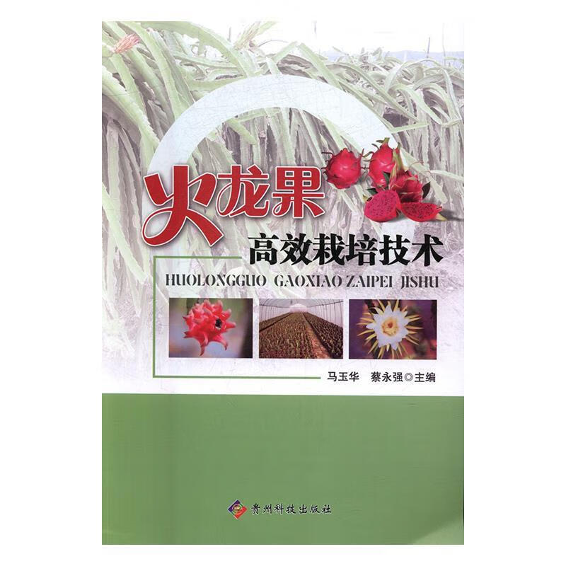 火龙果高效栽培技术【正版好书,下单速发】