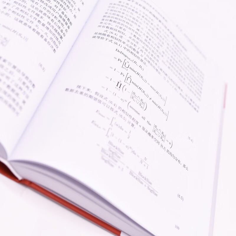 大规模存储系统数据消冗详情图
