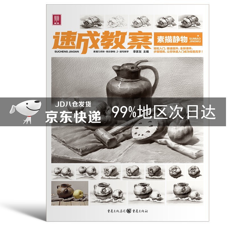 速成教案.素描静物