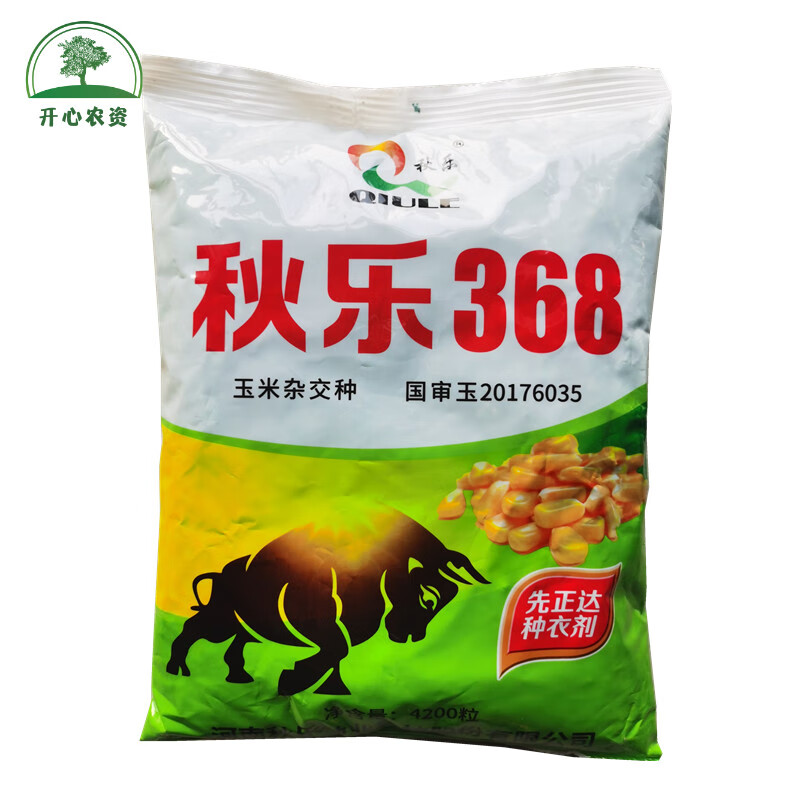 禾之润秋乐368玉米种子国审抗倒矮杆大棒4200粒/袋大田玉米种籽 秋乐