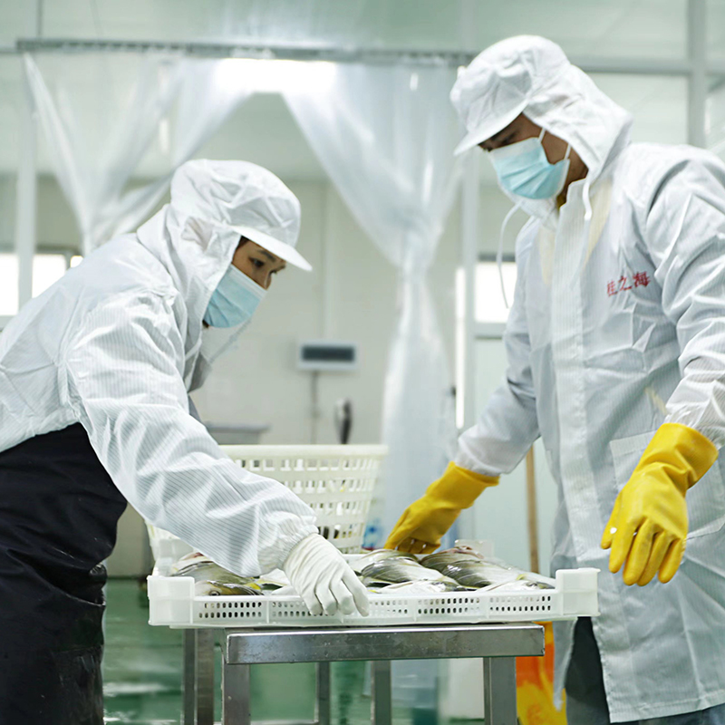 桂之海 桂(GUIZHIHAI)北海金鲳鱼新鲜冷冻深海鱼鲜活去鳃去内脏免处理特大号开腹金昌鱼 5条【400-500克/条】新鲜杀好