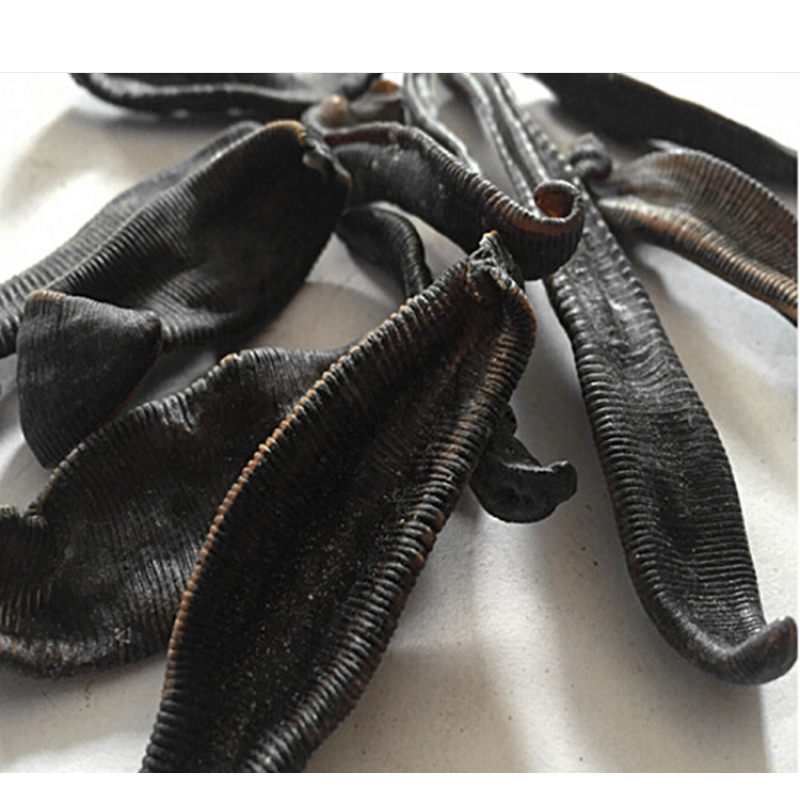 伟博  新货大个水蛭干货  蚂蟥 马鳖虫 吸血虫100克