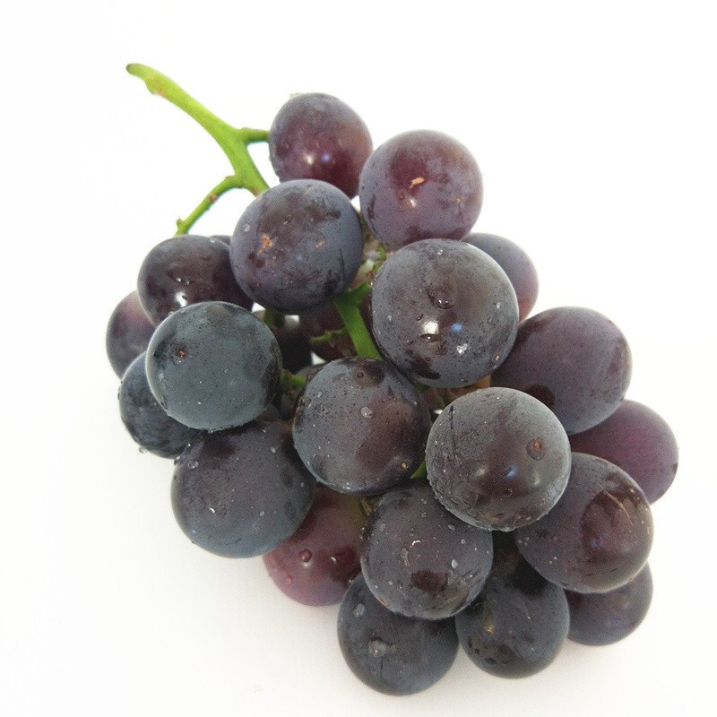 墨之瑶巨峰葡萄5斤新鲜孕妇水果非夏黑葡萄大葡萄 2斤优选