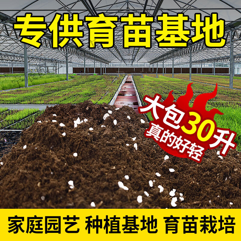 水稻育苗方法图片