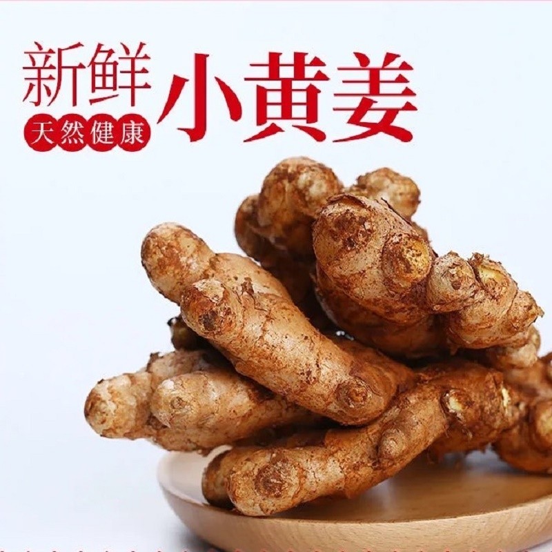 云南罗平新鲜小黄姜(现挖现发)高山生姜月 调味料 农家自种新鲜蔬菜 2