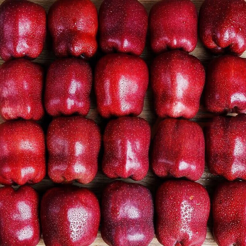 吧唧果甘肃天水花牛果新鲜水果可糯可粉礼盒装 净果3斤 尝鲜