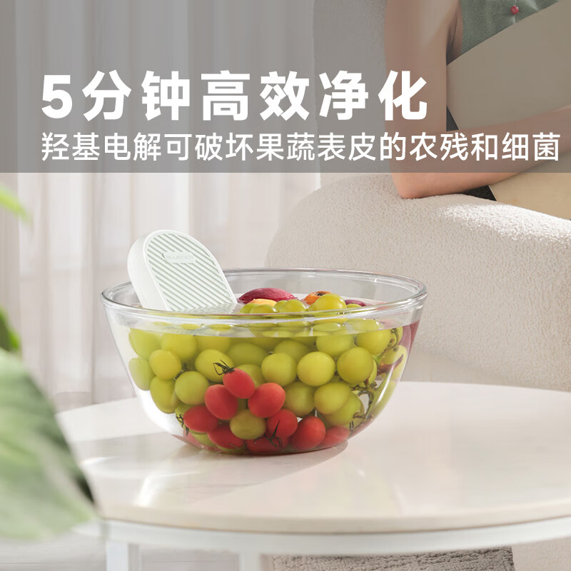 BLUECETI蓝力鲸果蔬清洗机无线食材净化器洗菜神器除菌除农残洗菜机家用 绿色