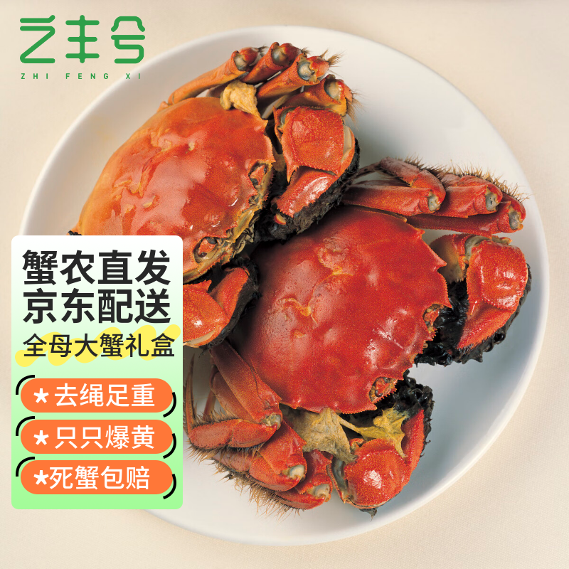 【活蟹】之丰兮大闸蟹 去绳足重公母螃蟹生鲜水产海鲜礼盒 全母蟹1.9-2.2两 8只装使用感如何?