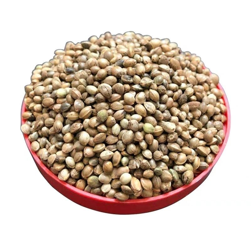 弘美干麻子麻籽火麻仁小颗粒鹦鹉鸟食鸟粮饲料仓鼠粮鸽子粮食 麻子三