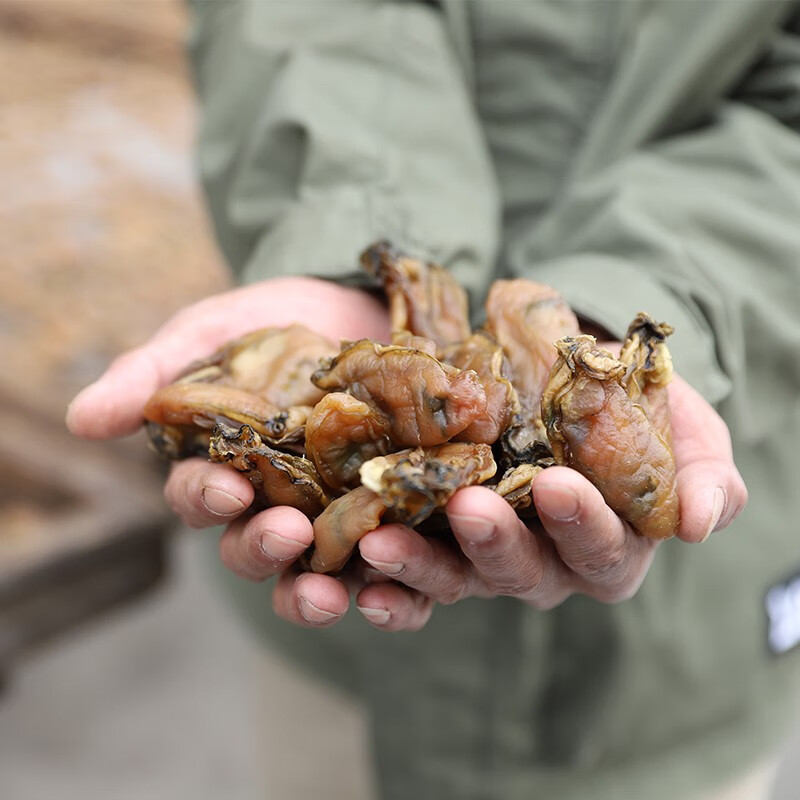 贝棋禾台山半干金蚝40头左右拍1件是250g生晒无抽油z