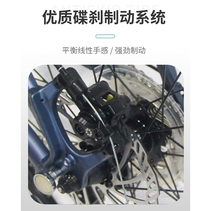 大行折叠自行车 20英寸9速碟刹D9海豚铝合金车架成人运动单车 ECA093 蓝色