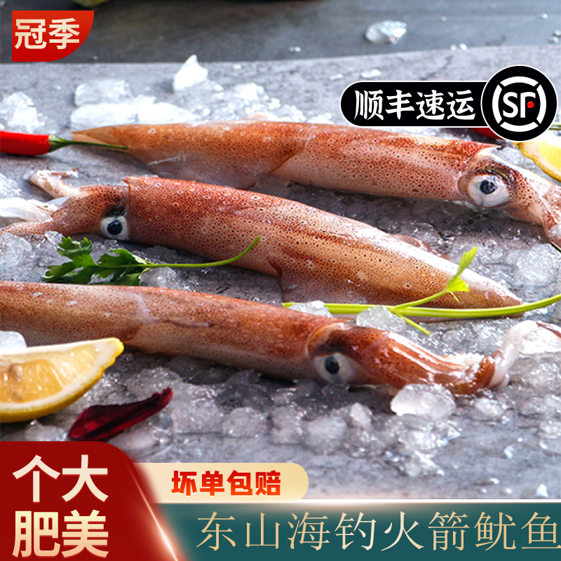 东山岛海手钓大管火箭枪鱿鱼新鲜活冷冻水产刺身 1000g 可刺身