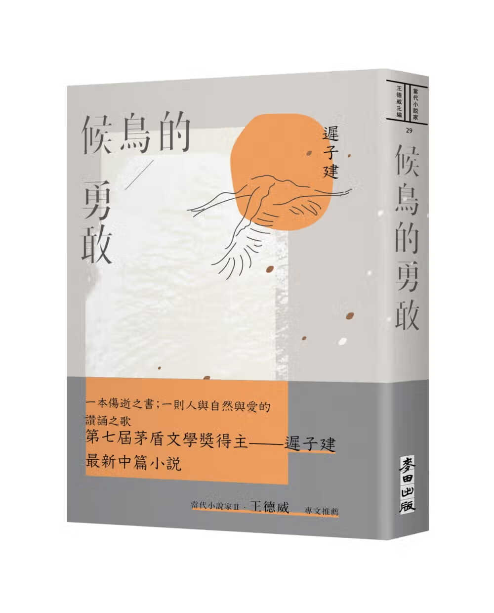预售 迟子建 候鸟的勇敢 麦田