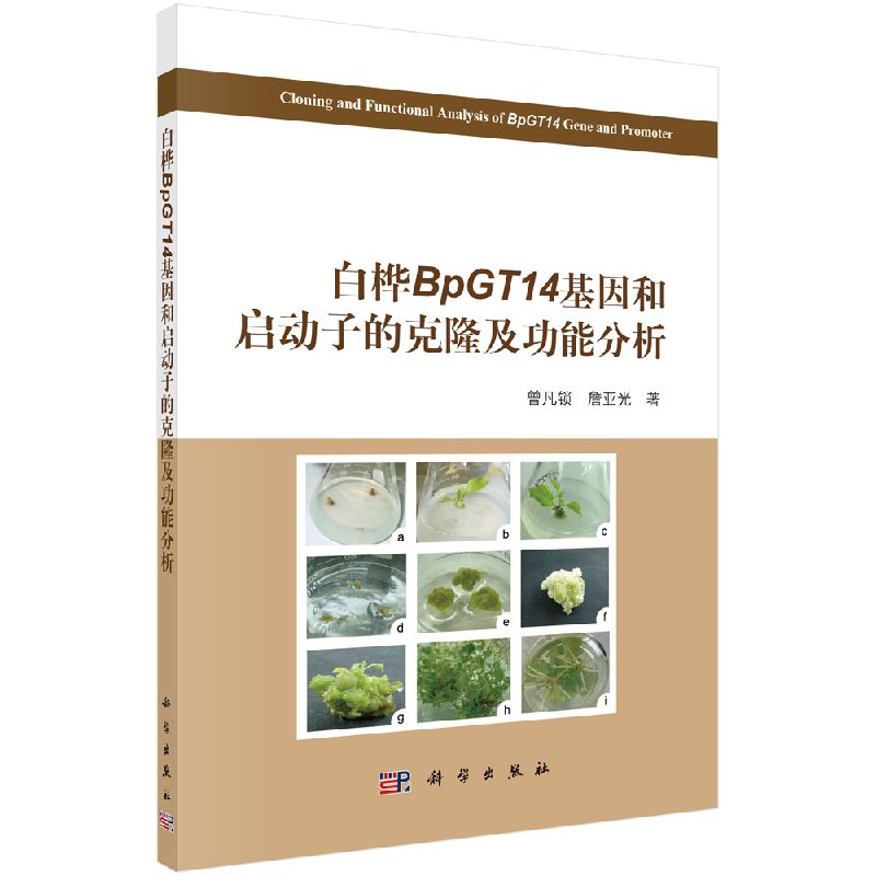 白桦BpGT14 基因和启动子的克隆及功能分析