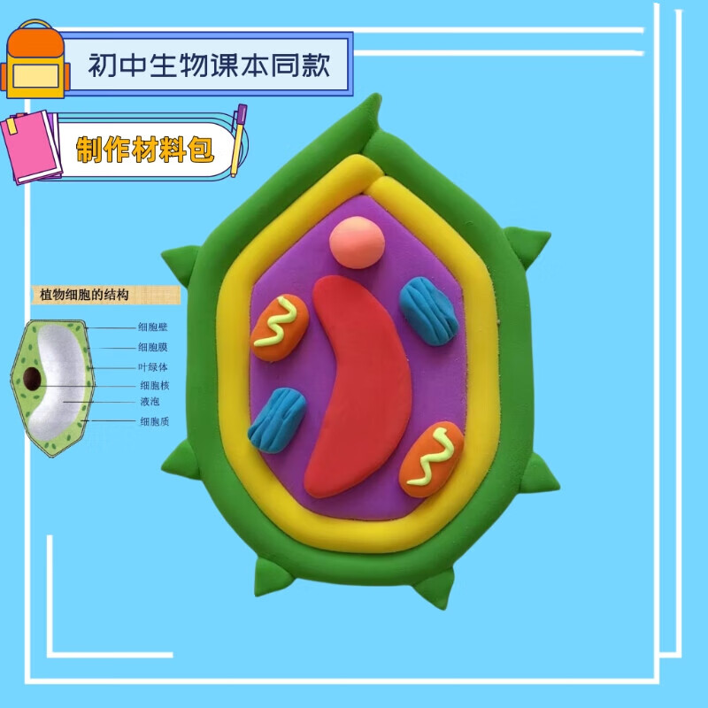真核细胞模型三维结构动植物细胞模型初中高中生物制作材料包 初中