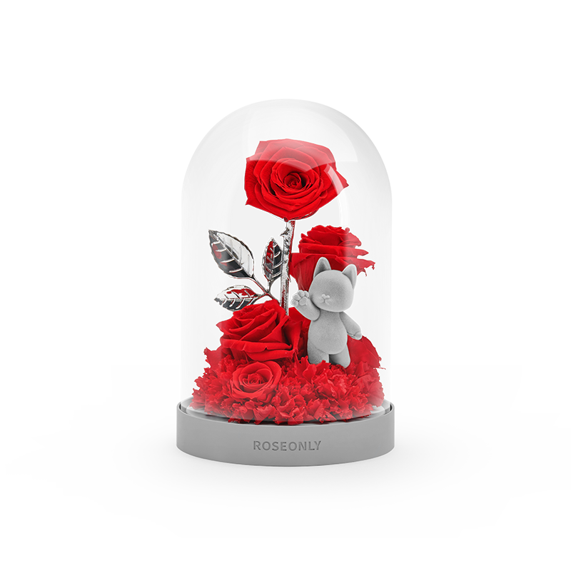 ROSEONLY（诺誓）永生花玫瑰花甜心猫钟罩红色 送女朋友送爱人礼物节日纪念日礼物
