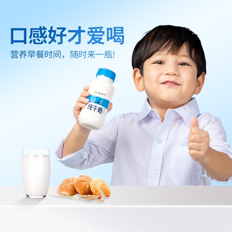 小西牛青海纯牛奶高原儿童孕妇早餐营养牛奶243ml*12瓶/箱