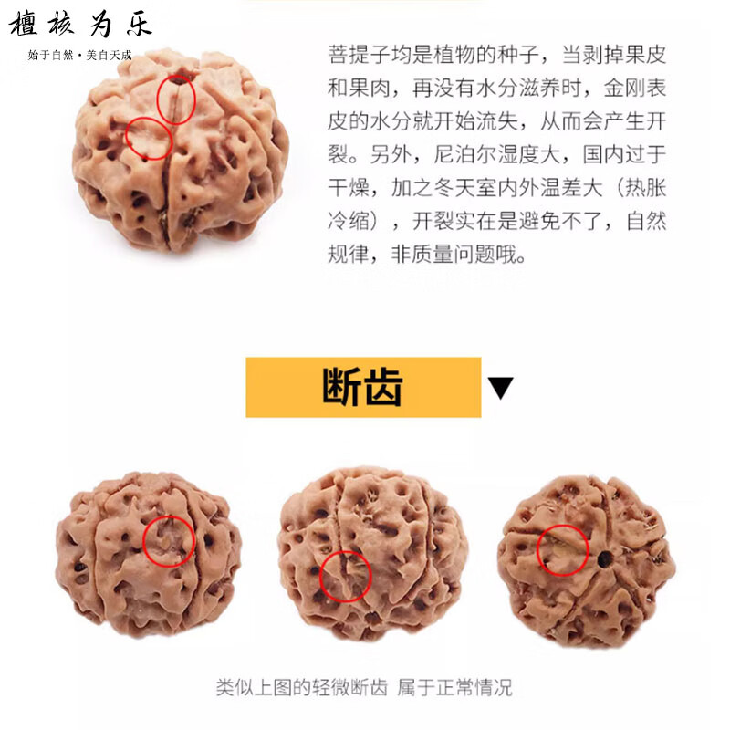 檀核为乐金刚菩提手串 原生态五瓣大金刚 尼泊尔大金刚原籽双龙纹文玩手串 五瓣满肉大金刚20-21mm