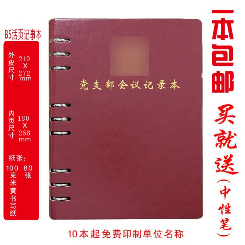 定制  党支部会议记录党小组党员大会支部委员会三会一课党课活页