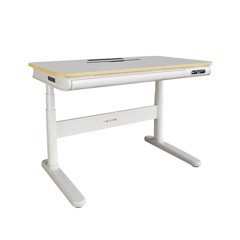 乐歌（Loctek）【国家补贴】儿童学习桌实木电动升降桌小学写字书桌家用1.2mT4