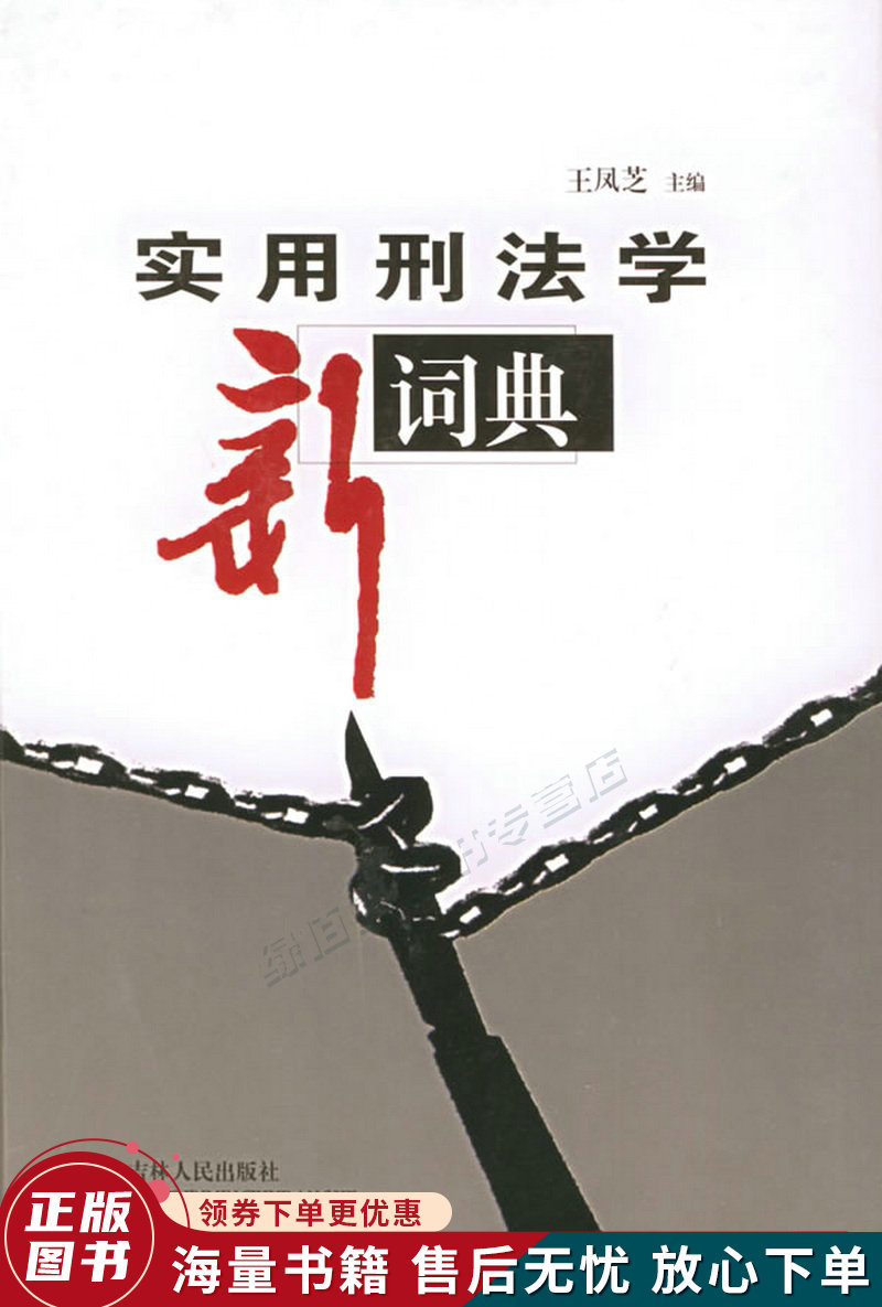实用刑法学新词典