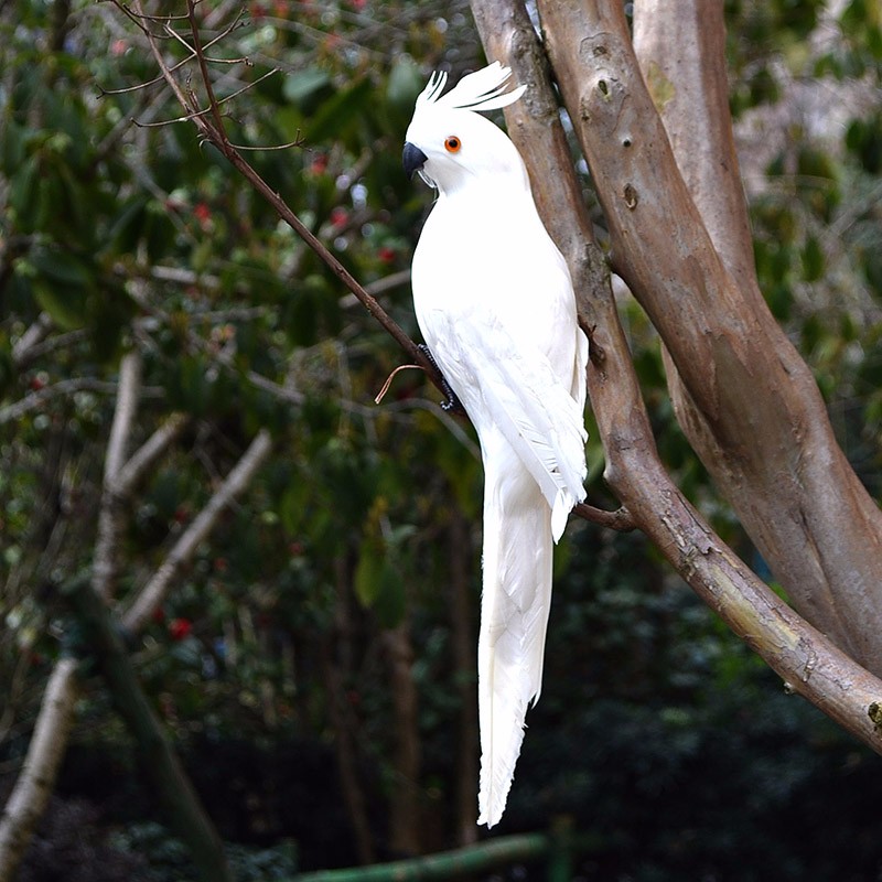 良品潮馆假鸟装饰鸟仿真羽毛鸟金刚鹦鹉摆件彩色花园装饰园林道具工艺