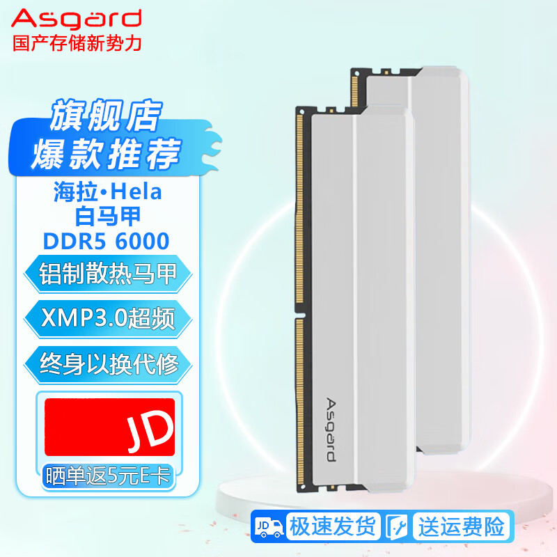 阿斯加特(Asgard)台式机内存条国产内存DDR5海拉系列超频XMP散热马甲条 DDR5 6000 M-die C30 32GB 2条套条 （16G*2）