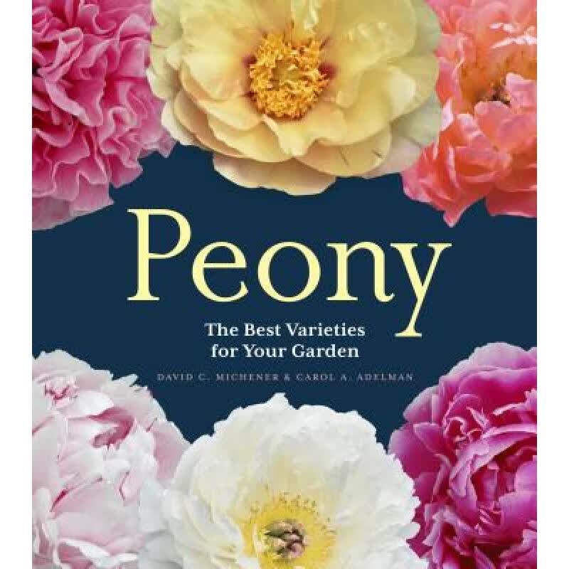 Peony: The Best Varieties for Your Garden