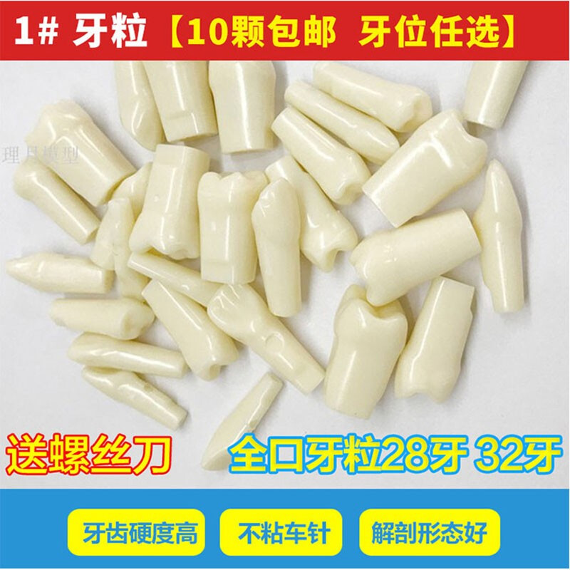 healsun牙科仿真牙粒树脂散牙齿材料开髓牙口腔耗材备牙模型考试练习