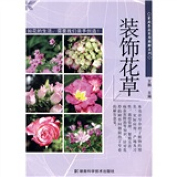 装饰花【正版图书】
