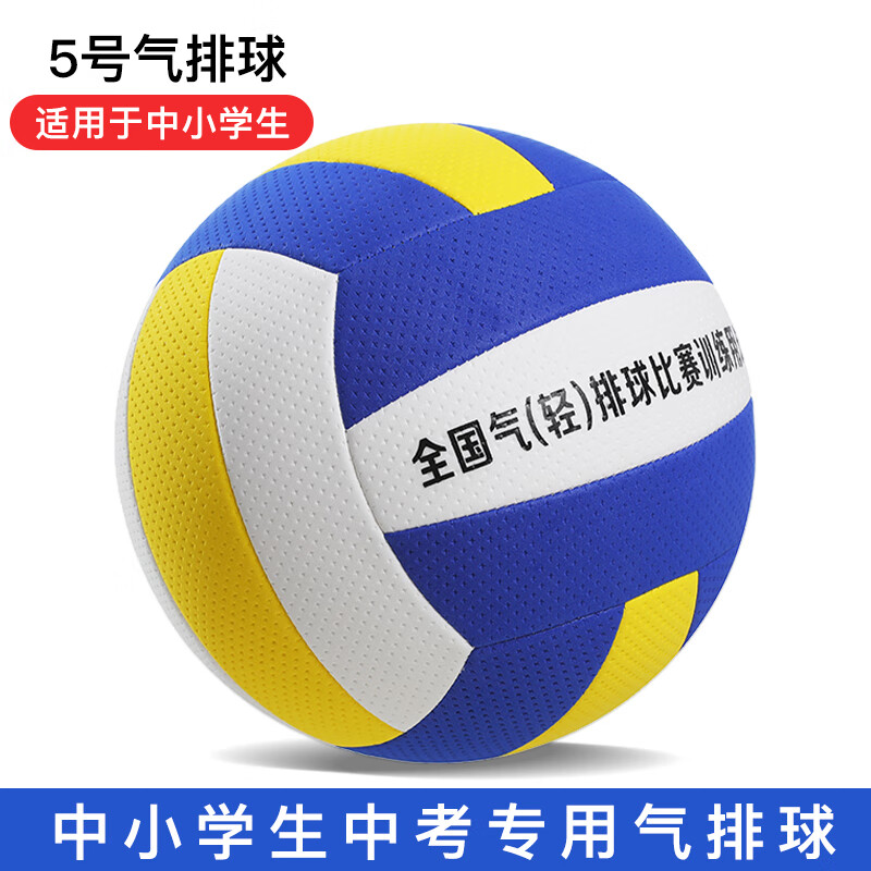 徽智(huizhi)气排球比赛专用中小学生中老年人软式中考大学生训练软排