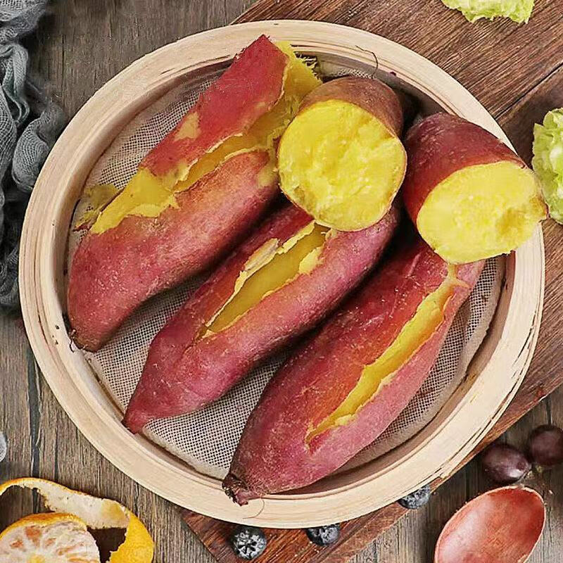 虎钢馋2020新货新产四川遂宁安居特产524红苕新鲜黄心红薯礼品盒装10