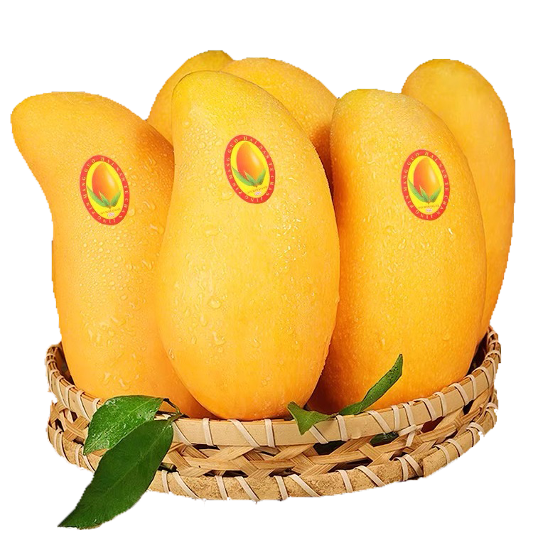 ���شﺣ����ժ���ʽ��â������5��Լ2-5��������âˮ��Դͷֱ������ 69.9Ԫ