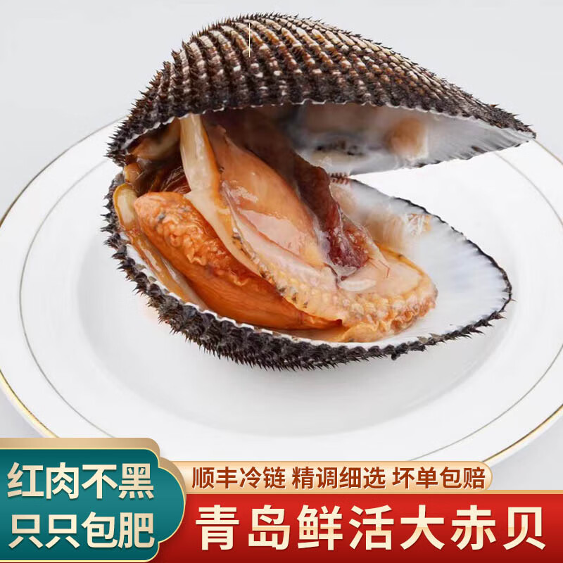 悦芳华【活鲜】悦芳华 海鲜鲜活大赤贝 鲜活赤贝日式刺身寿司料理大毛