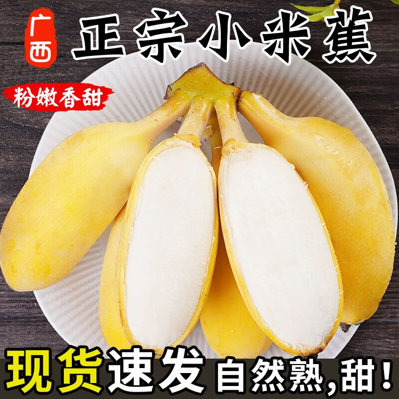 正宗广西小米蕉新鲜水果当季小香蕉自然熟 带箱 5斤