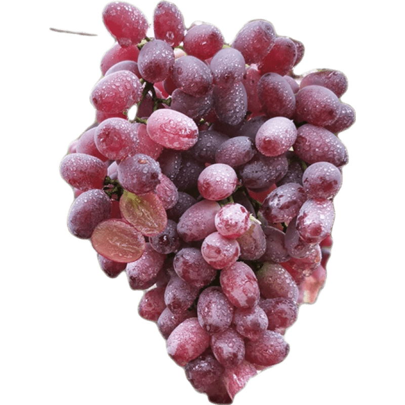 ܲ�ʻ� ���������Ѻ������� 9�� ��ͥ����װ 239.04Ԫ