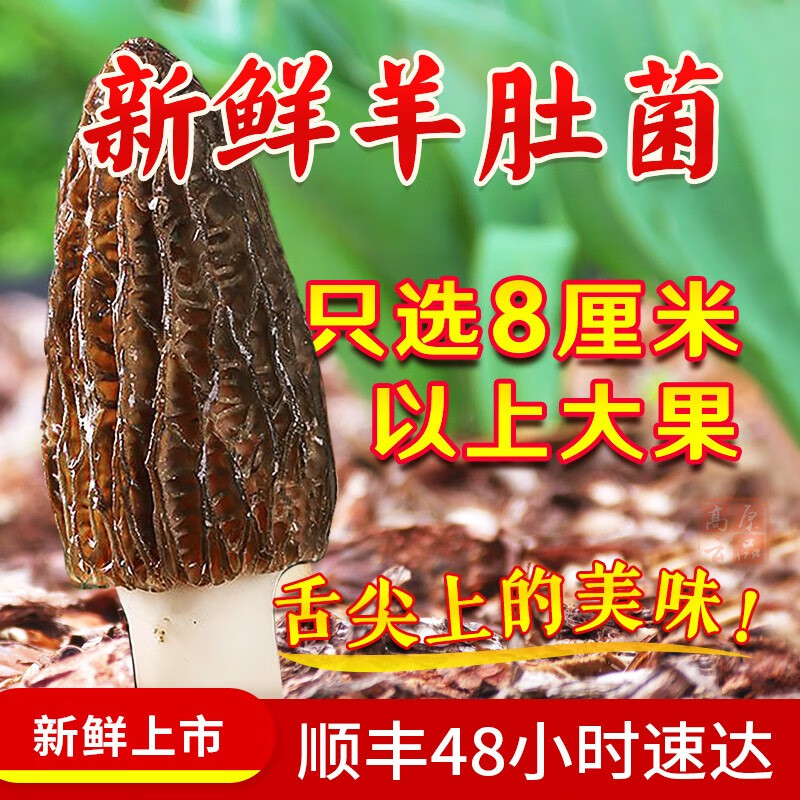 京东鲜菇历史价格在哪里找|鲜菇价格走势图