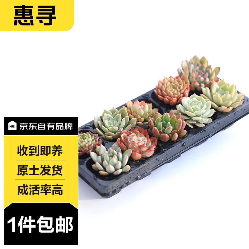 京东新品首发 2023-10-08 - 第20张  | 最新购物优惠券