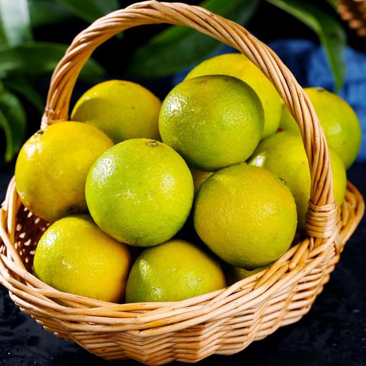 沣御园 广西皇帝柑贡柑   5斤装 果径约50-55mm