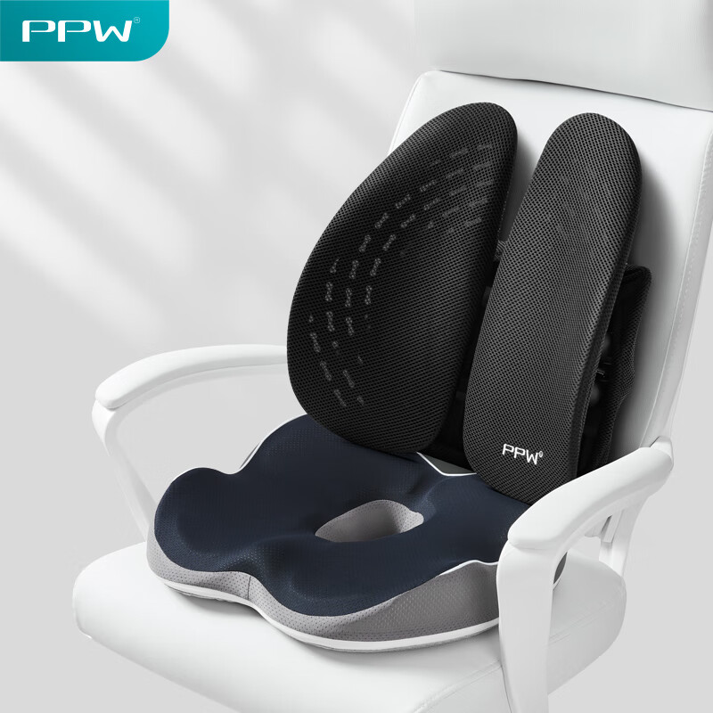 怎么查京东坐垫全网最低时候价格|坐垫价格比较