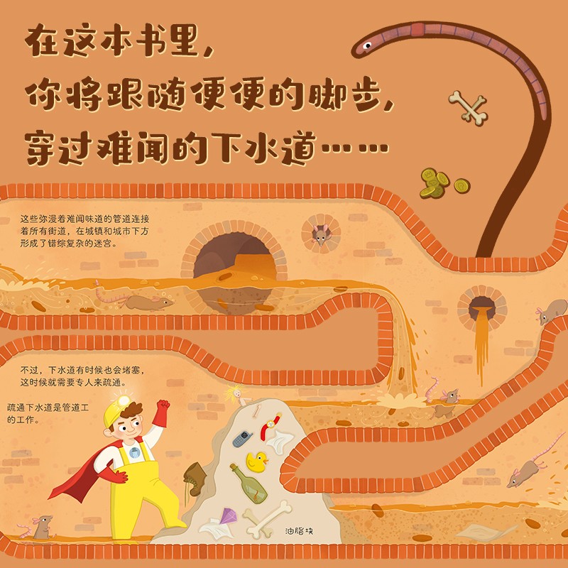 DK便便去哪里？  屎尿屁科普 环保主题 小猛犸童书 (精装)详情图
