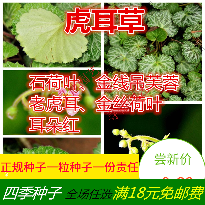 朵芮蜜花草林木销量趋势及价格走势解析