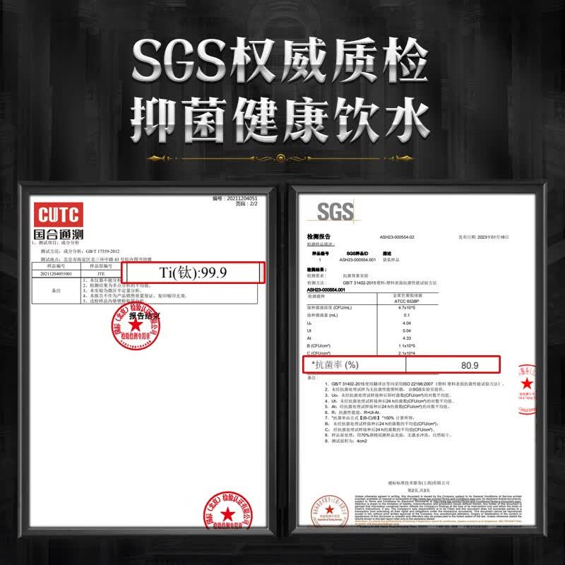 格亚（GEYA）双层玻璃杯纯钛抑菌男士泡茶杯高档商务办公水杯子精美礼盒装 商务款【皮质礼盒装】 400ml